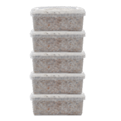 5 Magic Mushroom grow kit Discount Pack - Mondo®