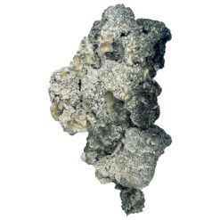 Ειδικά μαγικά μανιτάρια 'Half Oz' (14 γραμμάρια)