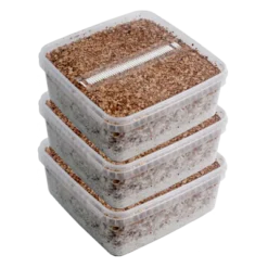 GetMagic® 3XL Magic Mushroom Grow Kit Έκπτωση Deal