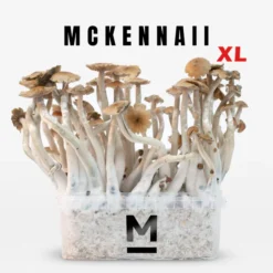 Κιτ καλλιέργειας μαγικών μανιταριών McKennaii XL από τη Mondo®