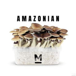 Κιτ καλλιέργειας μαγικών μανιταριών PES Amazon από τη Mondo®
