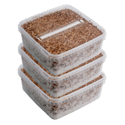 Τρία εξαιρετικά μεγάλα πακέτα Magic Mushroom Grow Kits Πακέτο συμφωνίας